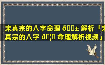 宋真宗的八字命理 🐱 解析「宋真宗的八字 🦁 命理解析视频」